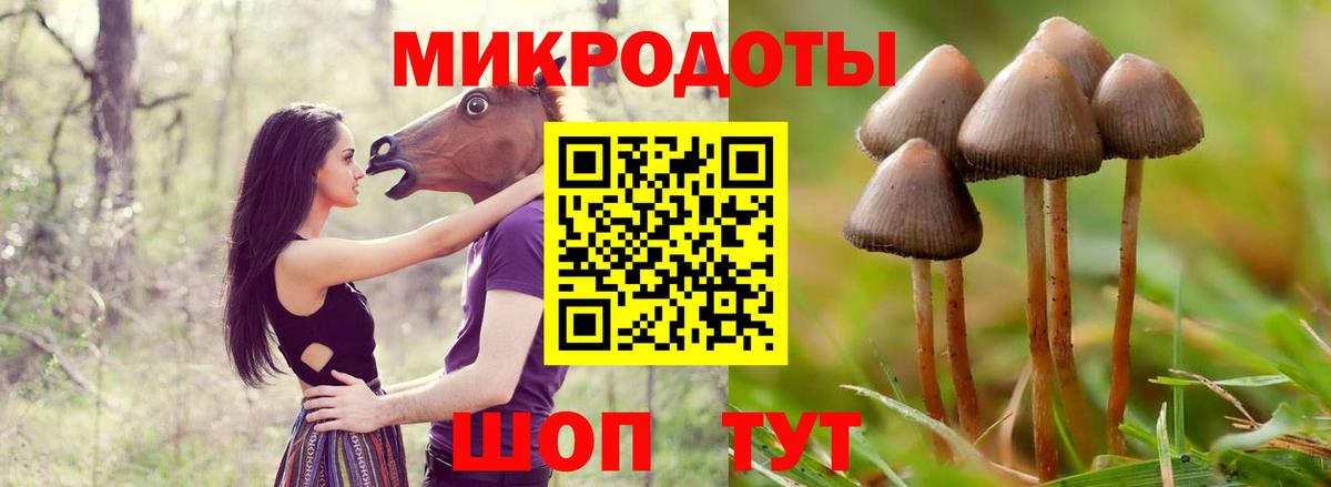 Галлюциногенные грибы MAGIC MUSHROOMS Богородицк